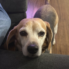 RJ