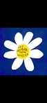 ديجا Dija
