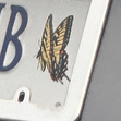 Col