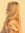 Gustė