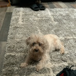 Mi
