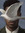 Joel Yaw-oh-ski