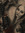 Megan Rogers