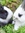 Funny Bunny