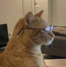 Frankeeks