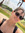 member photo member photo