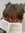 Agathe
