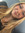 Sadie Stricker