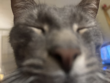 elliot
