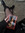 Lia read books