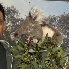 Glen Goh