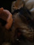 Erlend