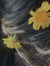 leo :):