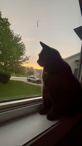 Julie