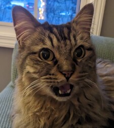 Lacerbeam