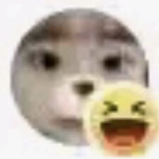 Luu