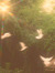 زَينب.