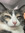 member photo member photo