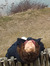 Elena