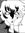 Marcy