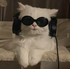  Mimi
