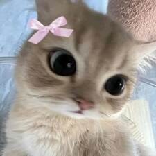 ✮`,— maddie .ᐟ.ᐟ 