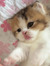 Eirini ♡