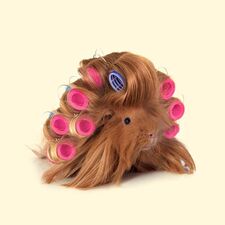 Skeeny Ween