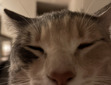 Sam