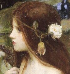 lily