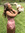 Riah345