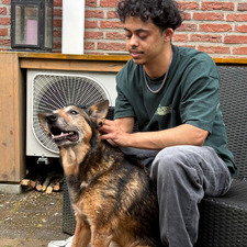 Daan
