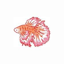That One Fish