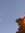 Lu