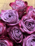 Raghad H