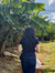 missG 
