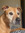 mildred_reads