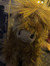 JAKE