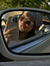 dilara