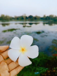 Eaindray