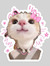 Ashly