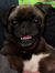 Margie