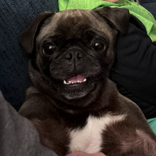 Margie