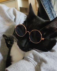 katie