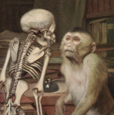 MoodeeMonkee