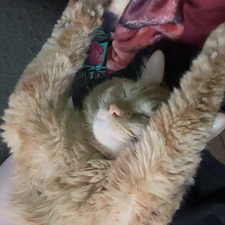 Kit