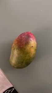 Jeffrey Epstein