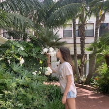 Lily (John 16:33)