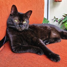 Belén