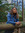 Aileen